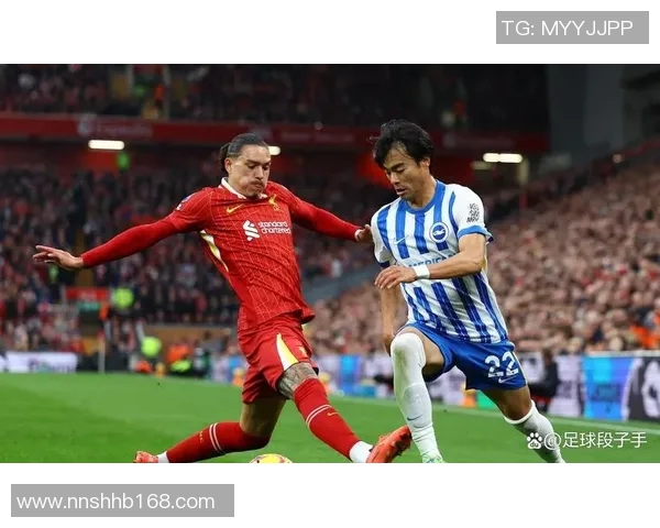 布莱顿主场迎战利物浦双方争夺英超积分榜关键战役