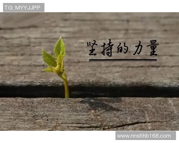 尹霄：在风云变幻的时代中追寻梦想与坚持的力量